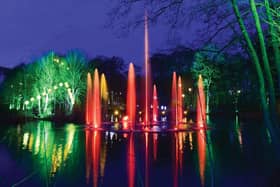 Dazzling lights at Stockeld Park festive experience