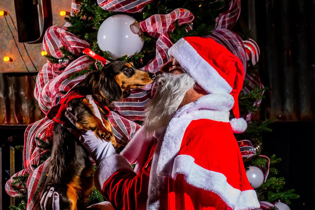 Santa even paid a visit to the city centre venue with pet Cruz.