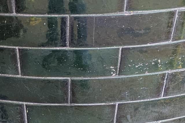 The wall