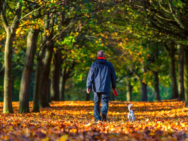 We can't leave out the Temple Newsam estate, which turns awash with golden colours in the autumn. Boasting 1,500 acres of land to explore - compiled of open grassland, woodlands, a walled garden and lakeside paths - the estate provides an idyllic spot for a leisurely stroll.