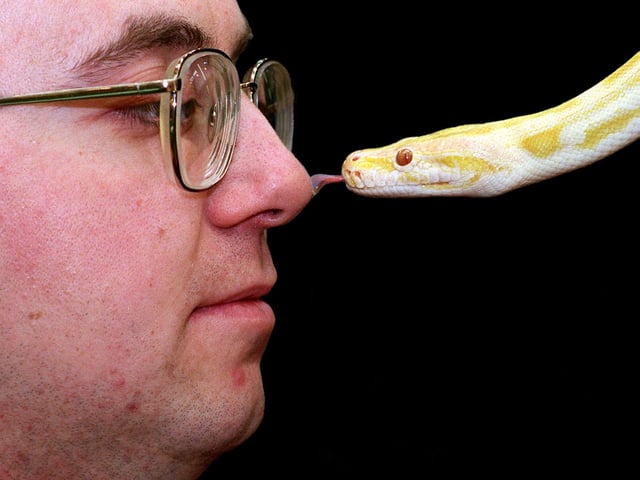Pets at Home store at Colton Retail Centre held a reptile weekend staged by Protreus Reptiles Rescue Services in June 1997. Pictured is herpetologist Peter Heathcote face-to-face with a six foot Golden Python.