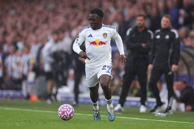 FIT AGAIN: Willy Gnonto (Image: Marc Atkins/Getty Images)