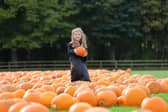Stockeld Park sought inspiration from the Dia de los Muertos to bring a splash of joyful colour to the usual menu of spooky Halloween fun.