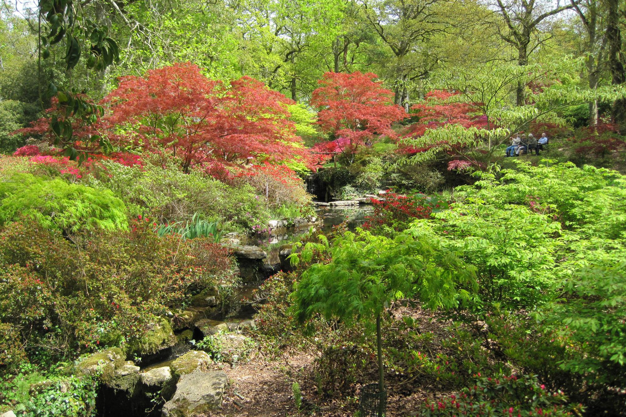 Hampshire has many hidden gems that are waiting to be explored.