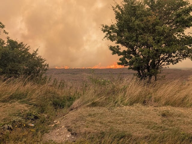 “We are taking all measures to ensure the safety of our people and security of the site and are using our available resources to support the emergency services.”
