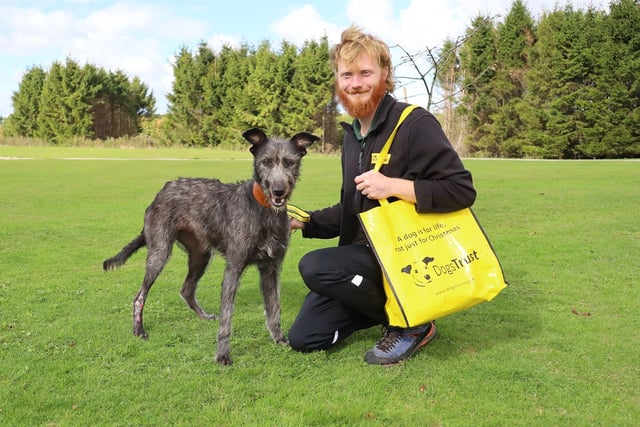 Good Luck Jive! This stunning two-year-old Lurcher was recently found as a stray with a wounded leg. Thankfully, she was brought to Dogs Trust Leeds where she was treated and following her recovery she was quickly adopted. This week, she left for her new home and we wish her a wonderful life full of love.