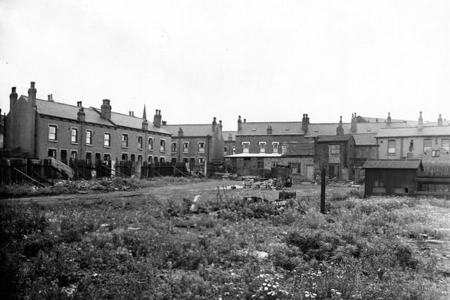 Waste ground off Balm Walk. Wild flowers in the foreground. Rows of terraced houses behind. Pictured in September 1951.