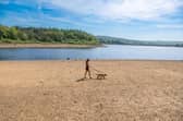 Recent rain is “not enough” to restore reservoir levels, Yorkshire Water warns.