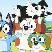 Catch Bluey on the big screen this March