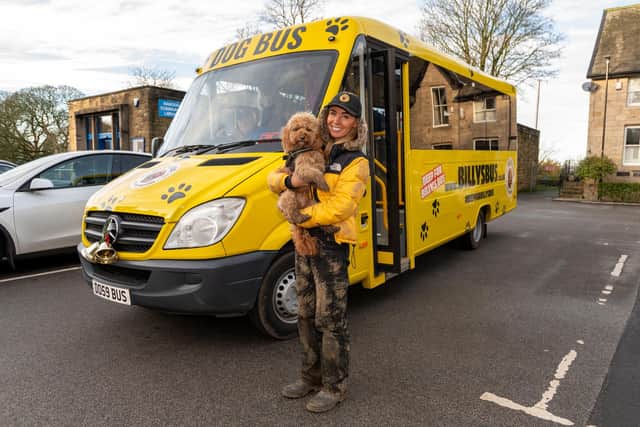 Laura Mohan and Billy the Dog with Billy's Bus, a dog walking service that has gone viral for its quirky method of transporting the dogs to their field