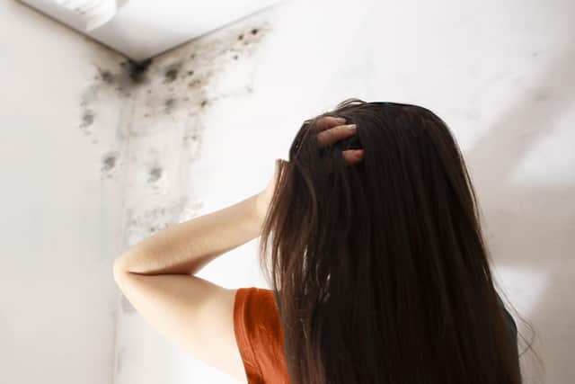 The cost damof fixingp in a home can vary widely depending on the extent of the problem and the type of solution that is needed.