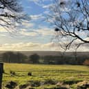 Swinton will create 55 habitat units, which will encourage a more biodiverse habitat for local wildlife and native plants