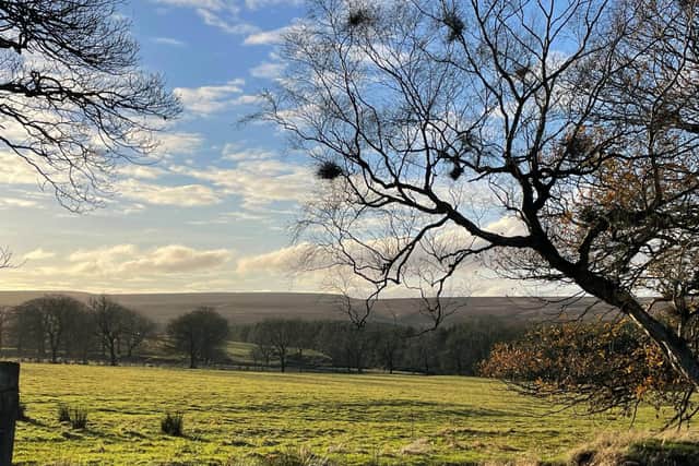 Swinton will create 55 habitat units, which will encourage a more biodiverse habitat for local wildlife and native plants