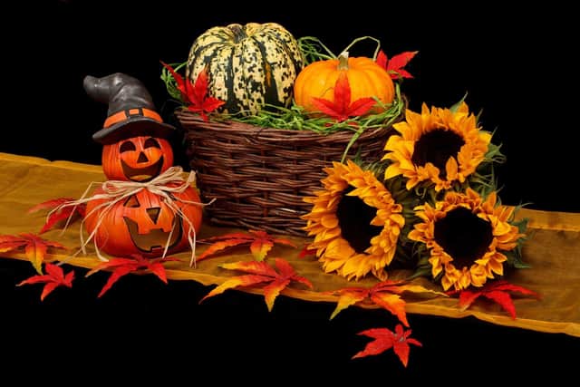 It's the orange, black and purple time of year for home decor