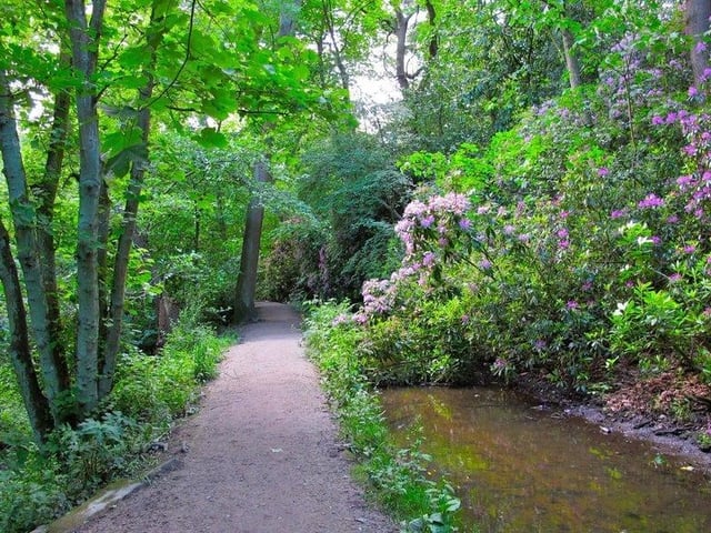 The Meanwood Valley Trail is seven mile linear walk runs from Woodhouse Moor, along the Meanwood Valley through to Breary Marsh, next to Golden Acre Park. Meandering through pretty woodland along a relatively flat route, it is fit for all abilities.