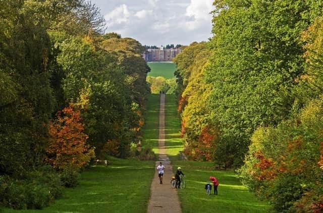 The temperatures are set to soar (relatively) this week.