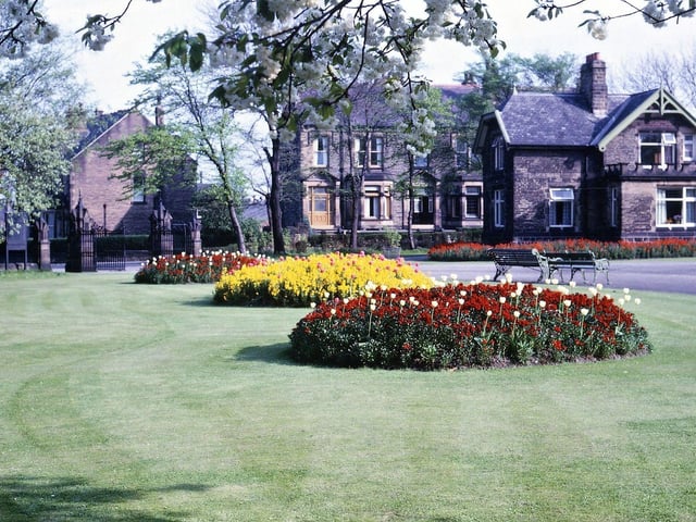 Looking towards the entrance of Dartmouth Park and towards the Park-keeper's house at blossom and tulip time. The entrance is the one near the roundabout at the top of Scatcherd Lane. Houses in St. Andrew's Avenue can be seen in the background. Pictured in May 1965.