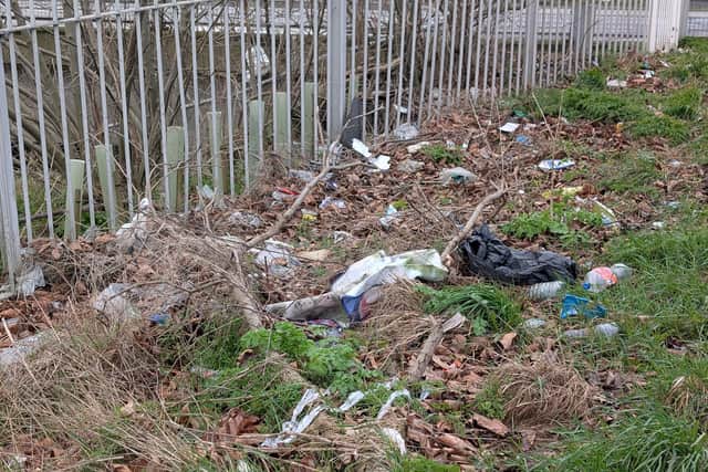 Litter at Hunslet Moor Park