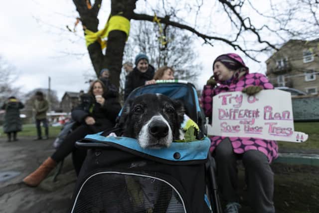 A group of local residents are standing guard in front of an 180-year-old oak tree day and night to protect it from being felled to make way for a temporary footbridge.