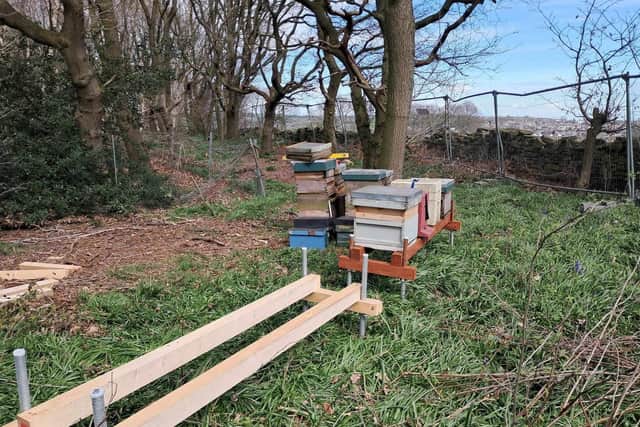 The land where some of the bees are kept was set fire