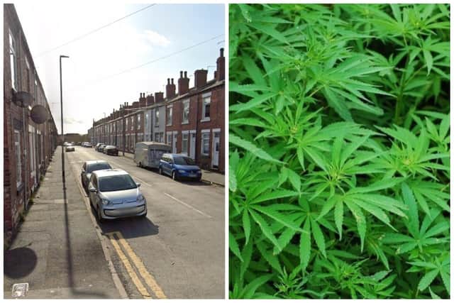 The cannabis farm was found at a property on Bowman Street, Wakefield. (pic by Google Maps / National World)