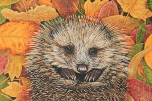 Raising the young hedgehog inspired one of Mr Fuller's most endearing paintings.