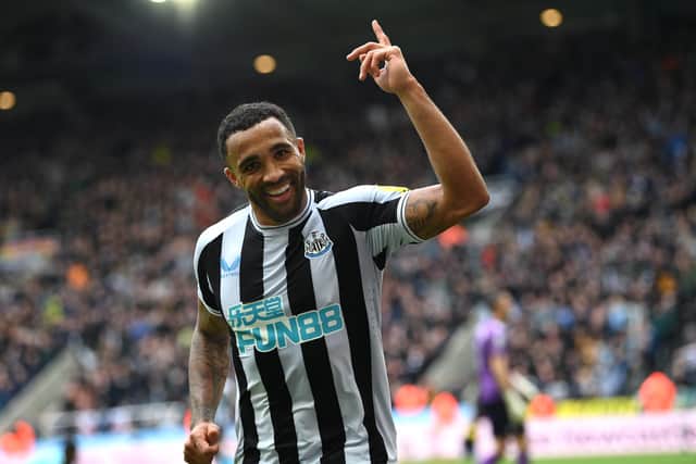 Newcastle striker Callum Wilson has scored 15 times this season (Photo by Stu Forster/Getty Images)