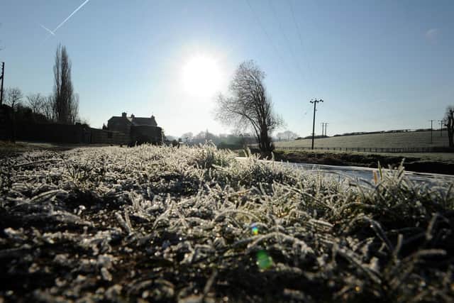 Temperatures are expected to drop below freezing overnight as temperatures fall this week. Picture: Bruce Rollinson