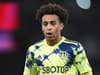 Tyler Adams outlines musts in Leeds United season question and declares own next aim after award