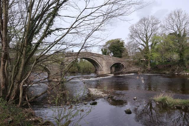A wonderful bridge shot from Matt Shelton.