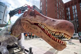 A 14ft long Spinosaurus, pictured here showing off its impeccable set of 84 teeth, was built and craned in at Granary Wharf for the Leeds Jurassic Trail launch.