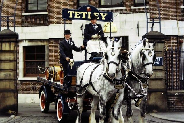 The Tetley's Shire horses and carriage were on the move.