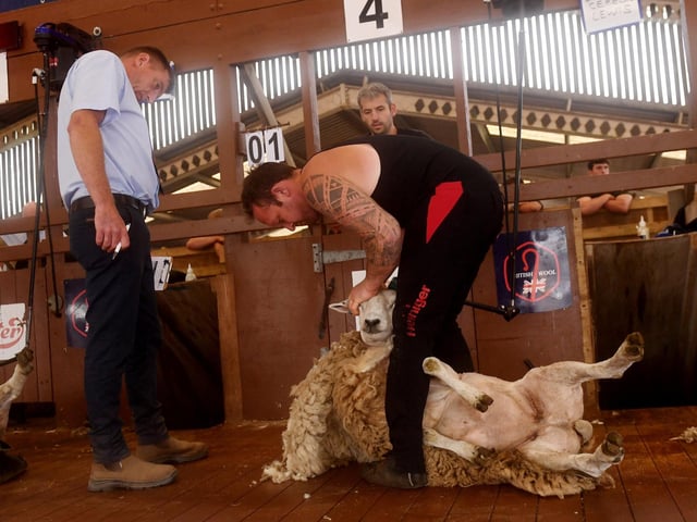 The Sheep Shearing competition is always a popular attraction at the show as skilled competitors put their expertise to the test