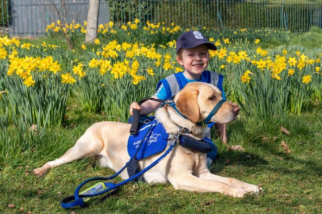 Support Dogs' autism assistance dogs are life-changing for children and their families
