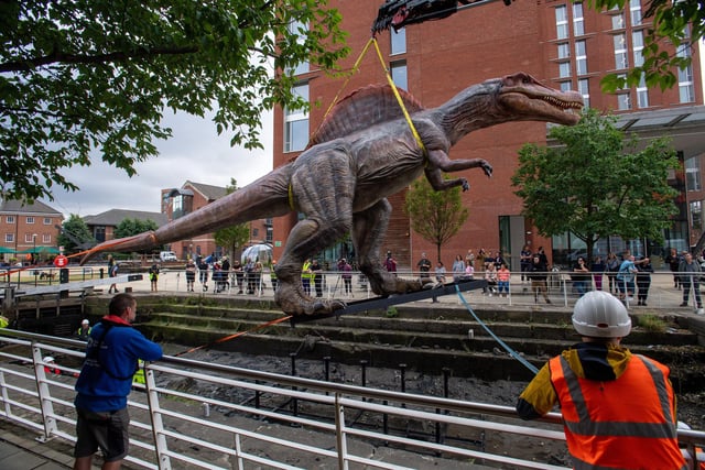 The spinosaurus, pictured here looking rather embarrassed at the attention it was getting, was lowered into place in Granary Wharf.