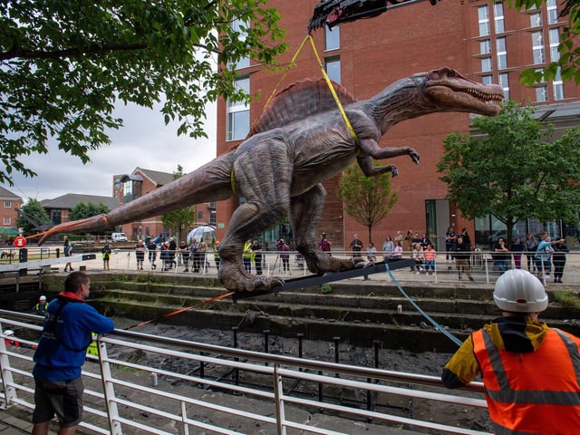 The spinosaurus, pictured here looking rather embarrassed at the attention it was getting, was lowered into place in Granary Wharf.