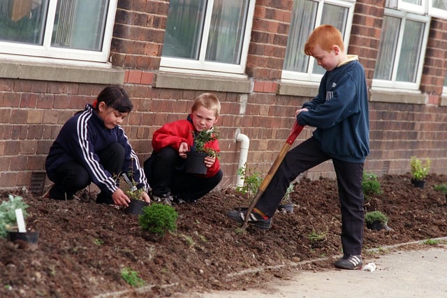 Windmill Primary School pupils, from left, Stephen Driscoll, Jason Pepper and Nathan Clapham get busy digging and planting in May 1998.