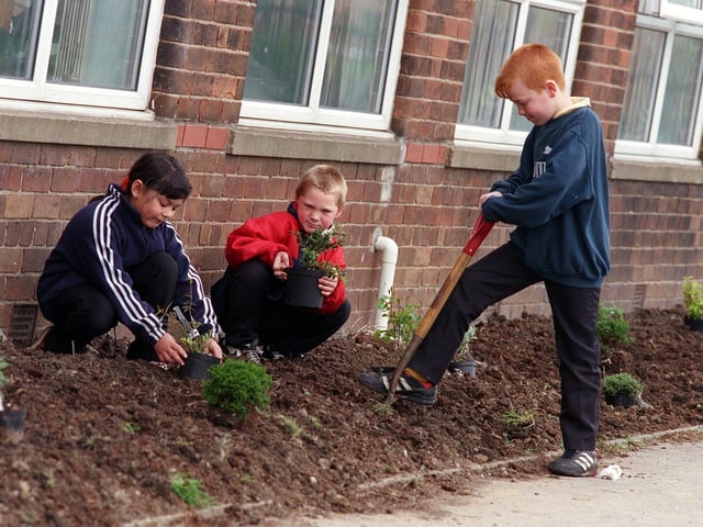 Windmill Primary School pupils, from left, Stephen Driscoll, Jason Pepper and Nathan Clapham get busy digging and planting in May 1998.