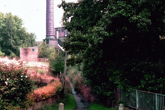 The chimney of Highbury Works, formerly Meanwood Tannery, seen from a footpath leading off Highbury Mount by the north end of Highbury Lane. It was taken shortly before the chimney, made of brick with red painted reinforcing steel straps, was demolished in 1998.