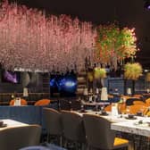 Blue Pavilion promises to bring world class, luxury Oriental dining, live music and up market karaoke to Leeds city centre (Photo: Blue Pavilion)