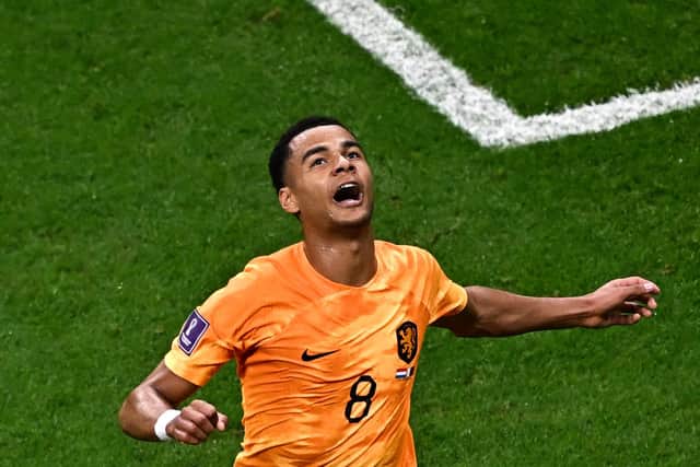 Netherlands' forward #08 Cody Gakpo celebrates scoring his team's first goal during the Qatar 2022 World Cup Group A football match between the Netherlands and Qatar at the Al-Bayt Stadium in Al Khor, north of Doha on November 29, 2022. (Photo by Anne-Christine POUJOULAT / AFP) (Photo by ANNE-CHRISTINE POUJOULAT/AFP via Getty Images)