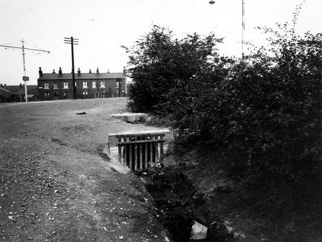 A culvert on Belle Isle Beck on Hunslet Carr in August 1949. There are bushes to the right. In the distance (on the left) is a row of houses and a tram power cable pole.