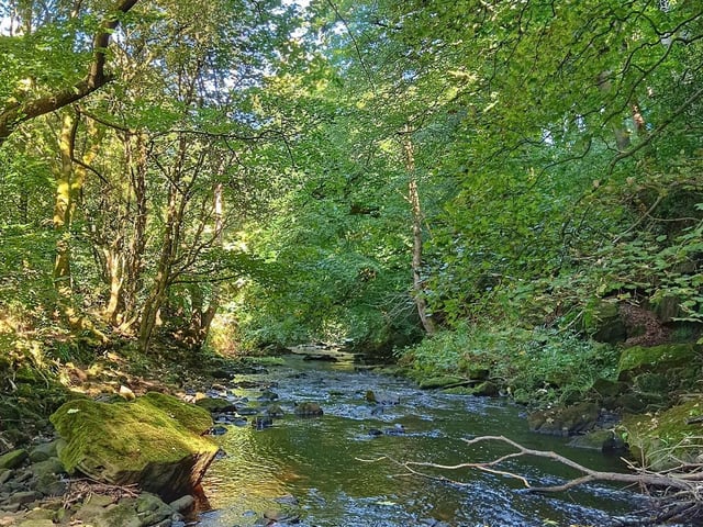 Frank Carr said: "The river Colne in Slaithwaite, West Yorkshire."