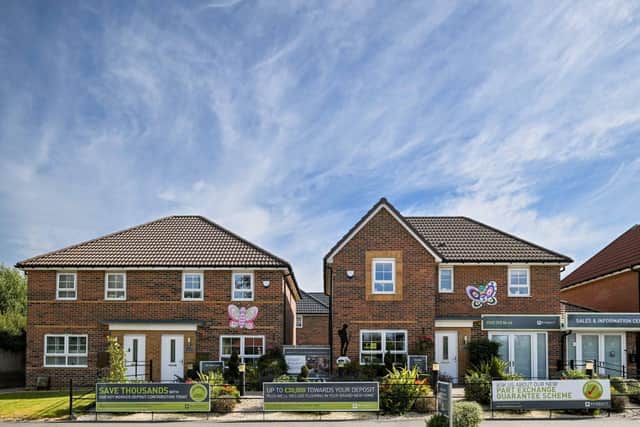 Butterflies on Show Homes
