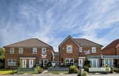 Butterflies on Show Homes
