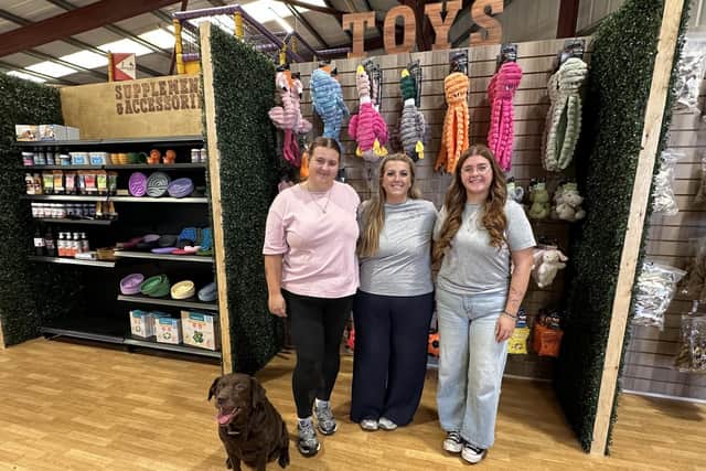 Meet the team: Sophie Indriks, Katie Harding, Jess Indriks and Nell the dog who inspired Katie to set up the business five years ago.