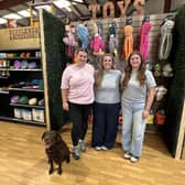 Meet the team: Sophie Indriks, Katie Harding, Jess Indriks and Nell the dog who inspired Katie to set up the business five years ago.