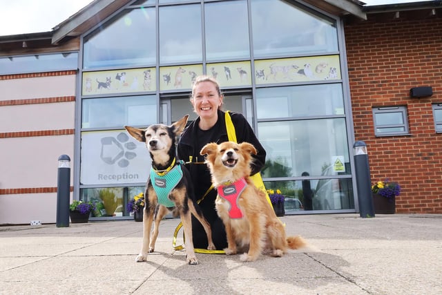 The team at Dogs Trust waved goodbye to Ginny, 16, and Zoey, 11, who have been adopted after waiting for six months.