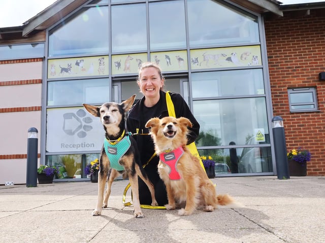 The team at Dogs Trust waved goodbye to Ginny, 16, and Zoey, 11, who have been adopted after waiting for six months.