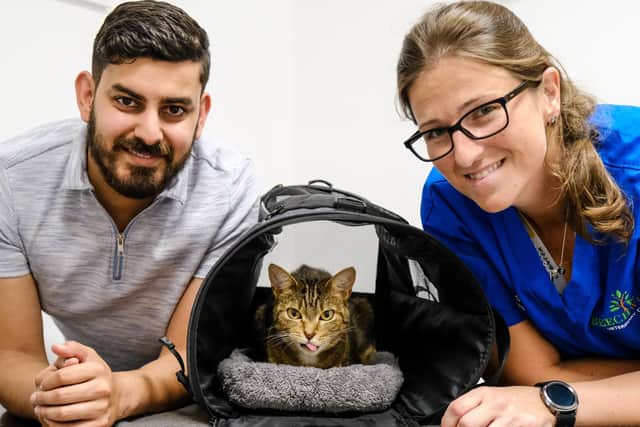 Vets at Beechwood Vets battled to save Roxy after she suffered horrific injuries caused by a single pellet.